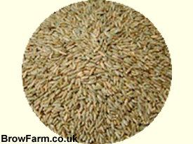Wheat grains for milling