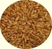 barleygrass seeds